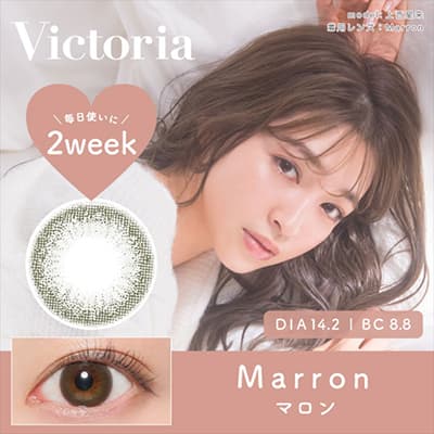 【美瞳预定】victoria by candy magic双周抛6枚marron 14.2mm - U5JAPAN.COM