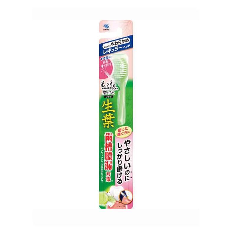 【日版】kobayashi小林制药 生叶牙刷 标准型 1根 - U5JAPAN.COM