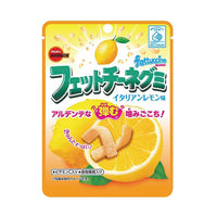 Thumbnail for 【日本】BOURBON布尔本 Fettucine Gummy超酸软糖条形果汁软糖50g多口味可选 - U5JAPAN.COM
