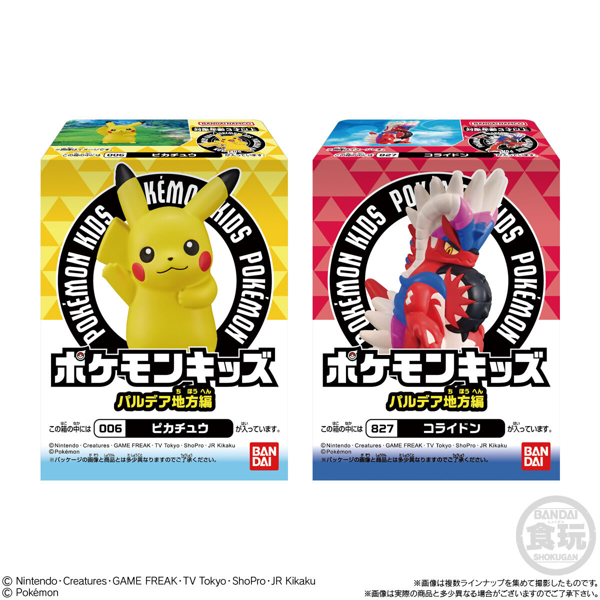 【周边】bandai万代 pokemon宝可梦扭蛋盲盒全15种随机发 帕底亚地方篇 - U5JAPAN.COM